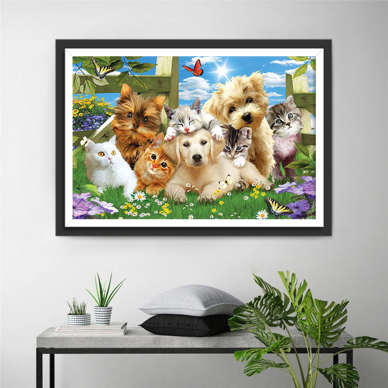 Chiots et Chatons Broderie Diamant
