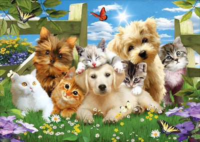 Chiots et Chatons Broderie Diamant