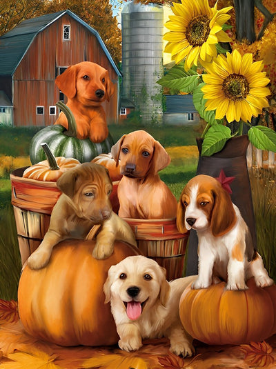 Chiots et Citrouille Broderie Diamant