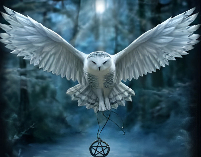 Chouette Harfang Volant Broderie Diamant