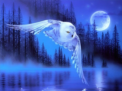 Chouette Harfang Volant et la Lune Claire Broderie Diamant