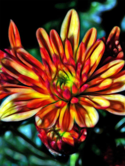 Chrysanthème Roux Broderie Diamant
