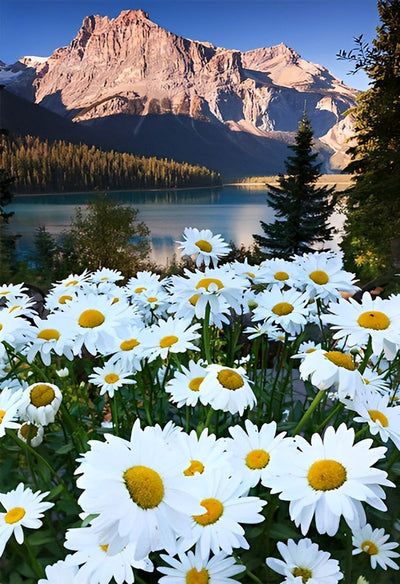 Chrysanthèmes Blancs et les Montagnes Broderie Diamant