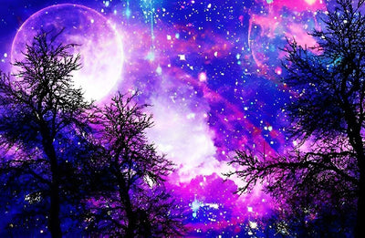Ciel Etoilé et Arbre Broderie Diamant