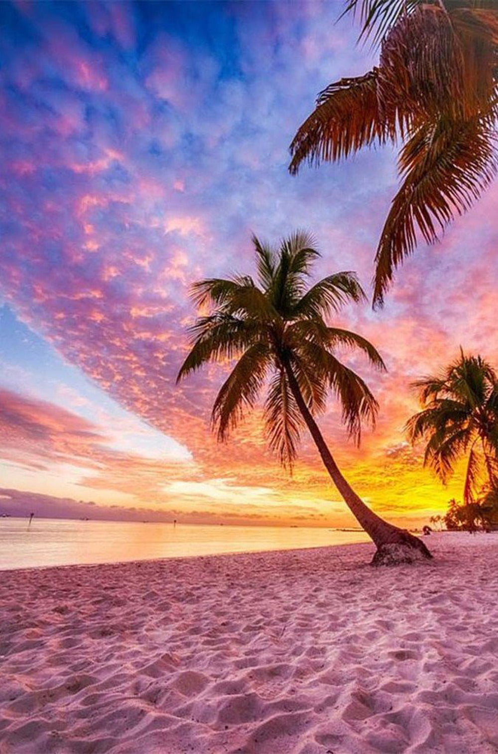 Cocotier sur la Plage Broderie Diamant