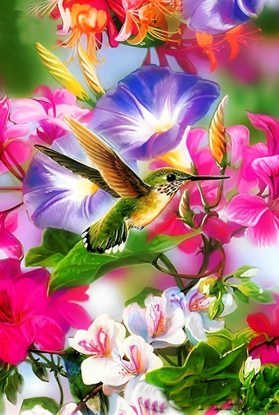 Colibri et Liserons Broderie Diamant