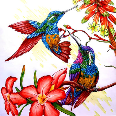 Colibris Dessinés Broderie Diamant