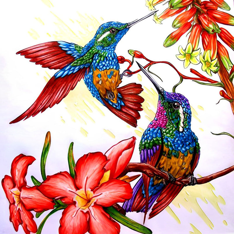 Colibris Dessinés Broderie Diamant