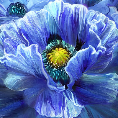 Coquelicots Bleus Broderie Diamant