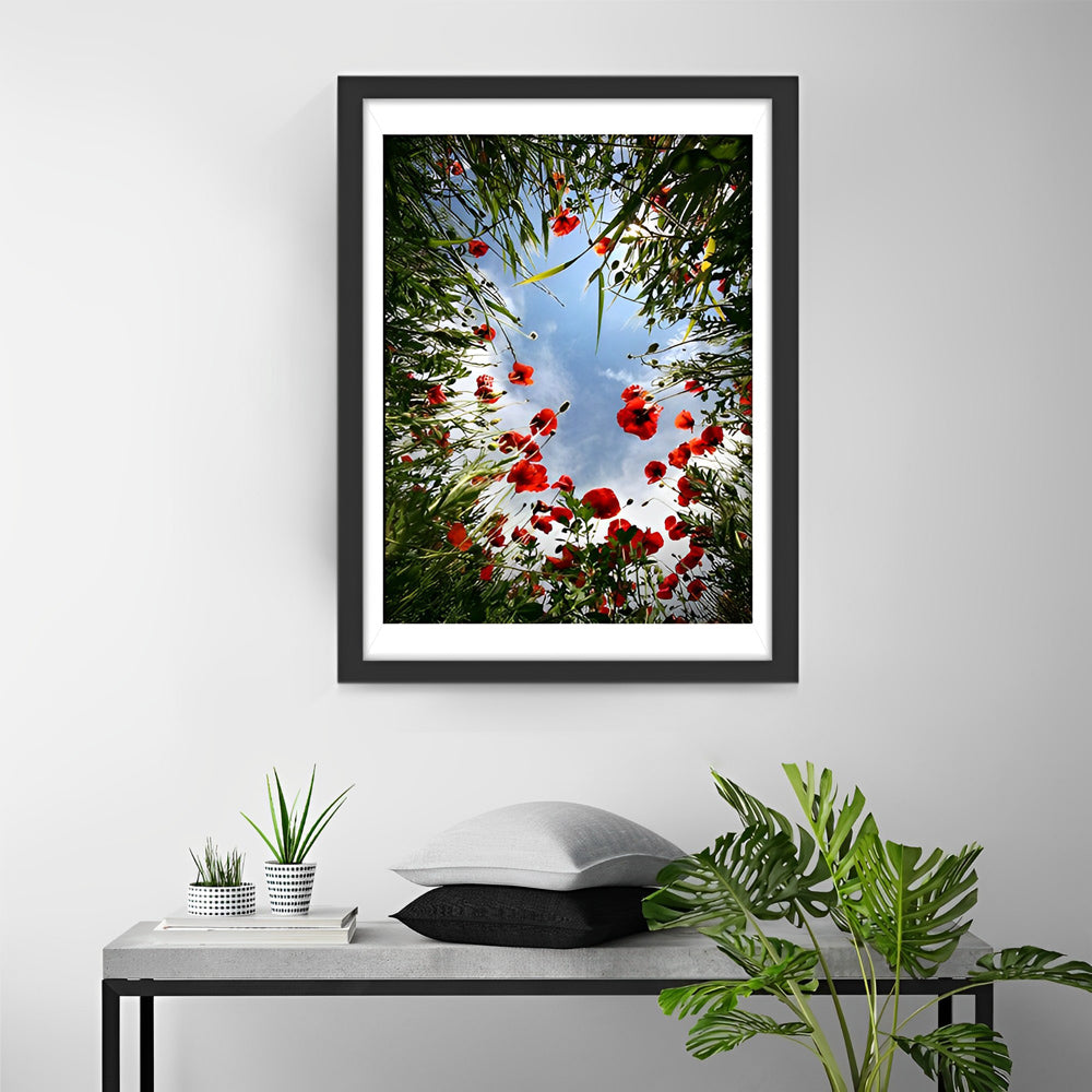 Coquelicots Rouges Fleur Broderie Diamant