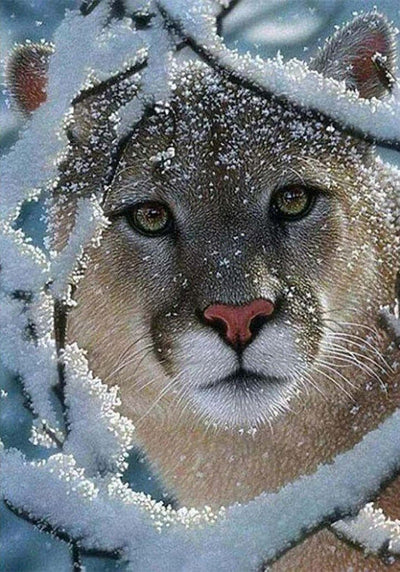 Couguar dans la Neige Broderie Diamant