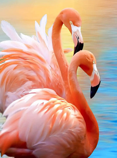 Couple de Flamants Broderie Diamant