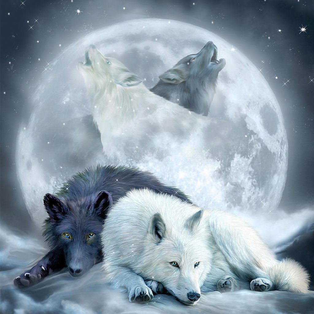 Couple de Loups avec la Lune Claire Broderie Diamant