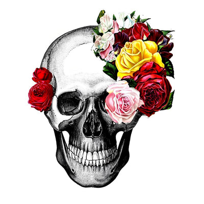Crâne et Roses Variées Broderie Diamant