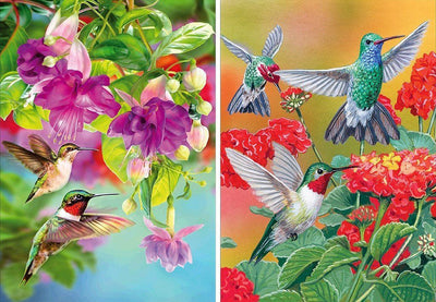 Des Colibris et des Fleurs Broderie Diamant