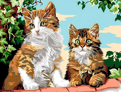 Deux Chatons Mignons à Poil Long sur la Clôture Broderie Diamant