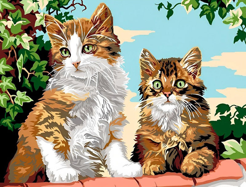 Deux Chatons Mignons à Poil Long sur la Clôture Broderie Diamant