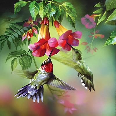 Deux Colibris Absorbant le Nectar Broderie Diamant