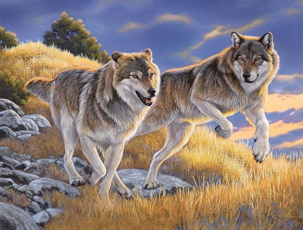 Deux Loups dans la Friche Broderie Diamant