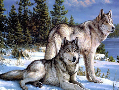 Deux Loups dans la Neige Animal Broderie Diamant