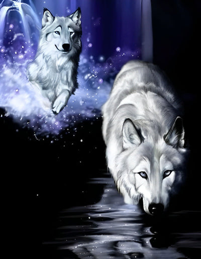 Deux Loups Gris Jouant de l'Eau Broderie Diamant