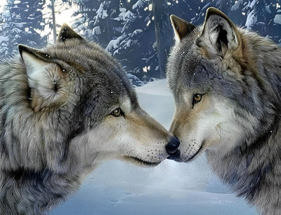 Deux Loups Gris Se Touchant le Nez Broderie Diamant