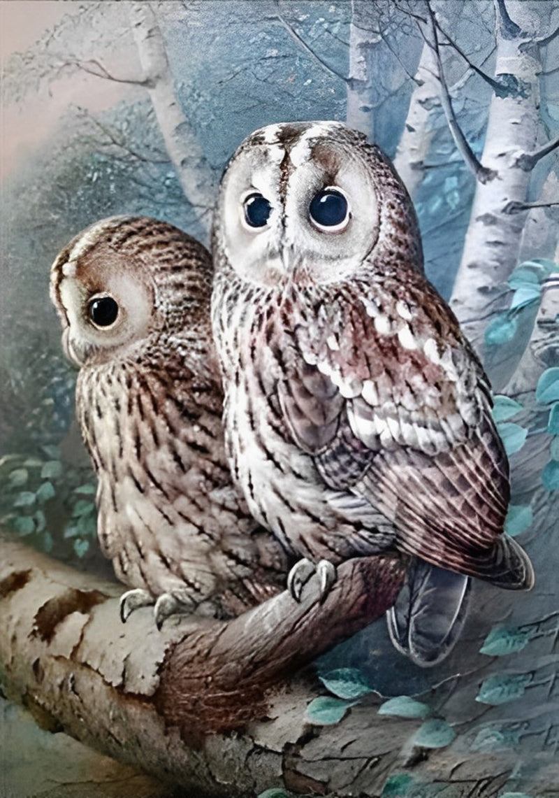 Deux Mignons Hiboux Debout sur la Branche Broderie Diamant