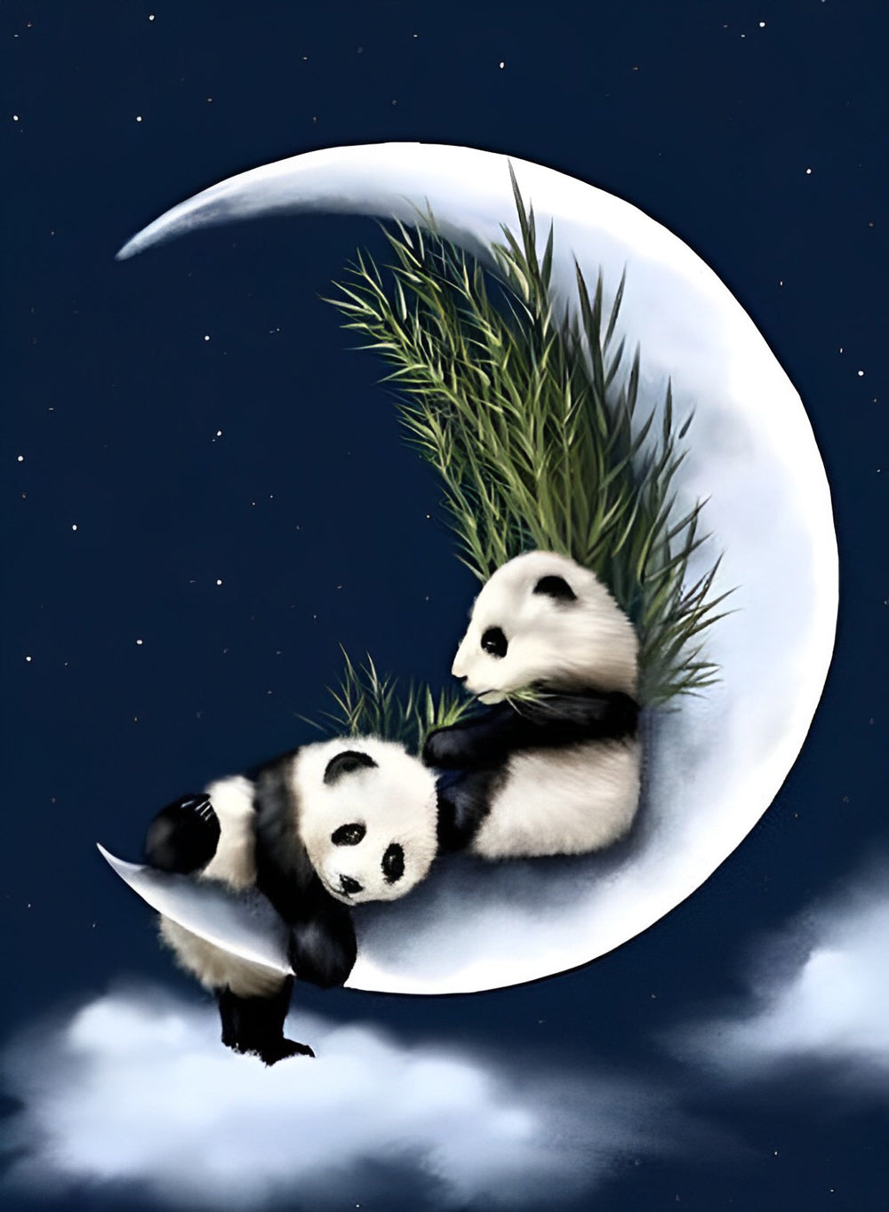 Deux Pandas sur la Lune Broderie Diamant