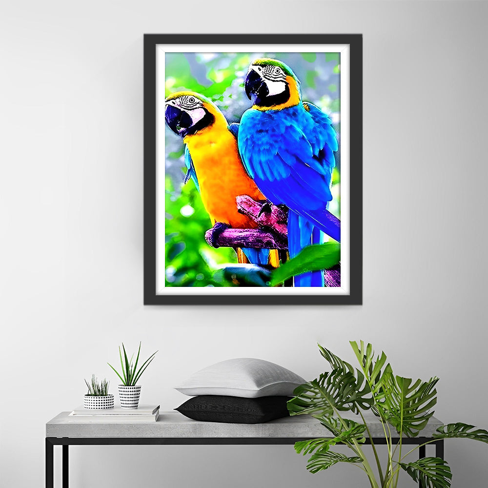 Deux Perroquets Colorés Broderie Diamant