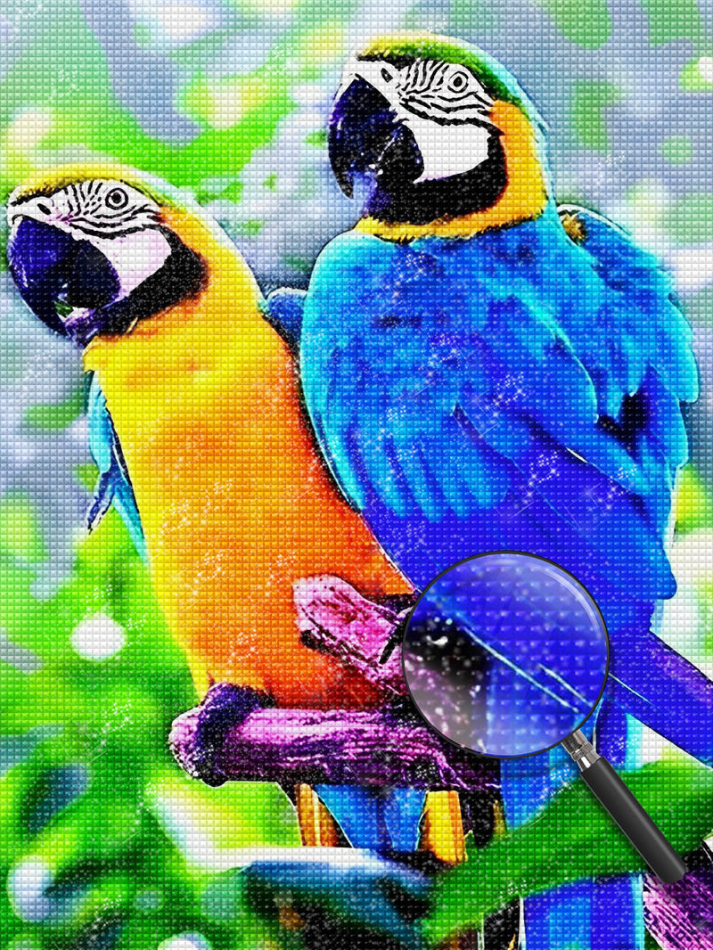 Deux Perroquets Colorés Broderie Diamant