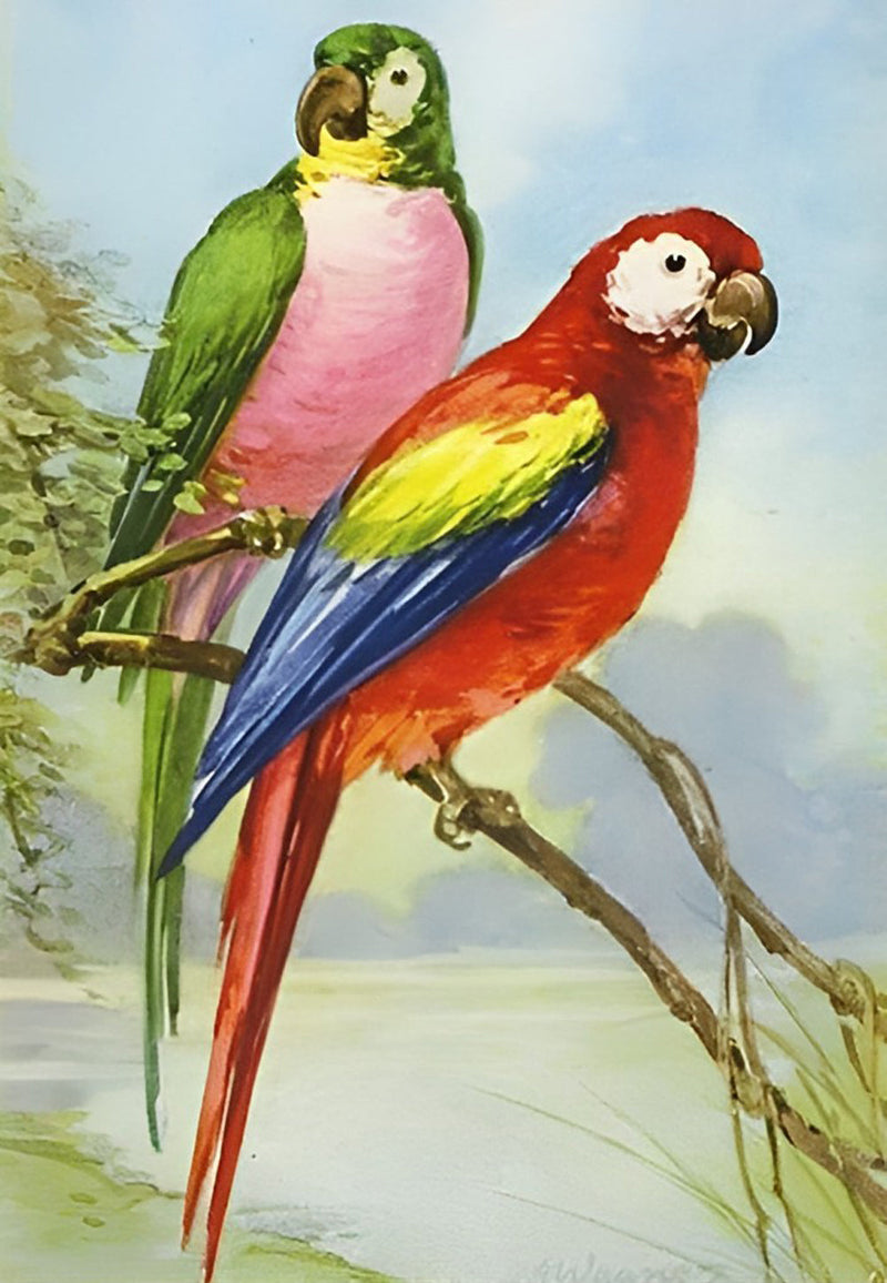 Deux Perroquets Colorés Broderie Diamant