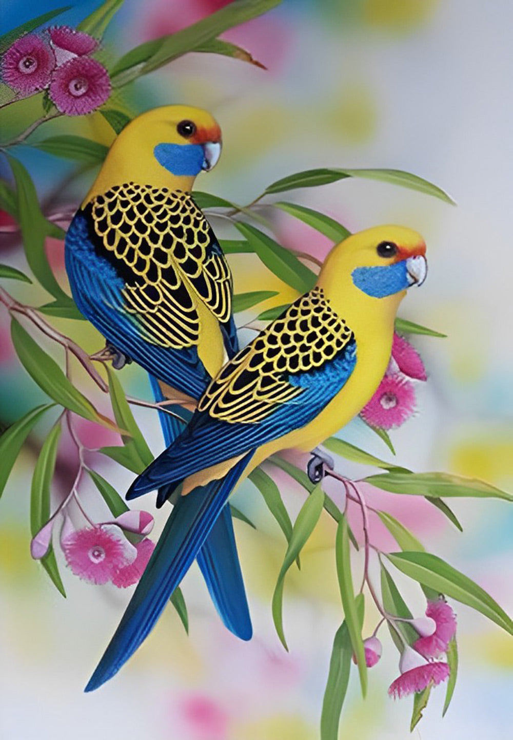 Deux Perruches ondulées Broderie Diamant