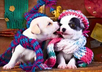 Deux Petits Chiens Proches Broderie Diamant