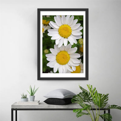 Deux Petits Chrysanthèmes Blancs Broderie Diamant