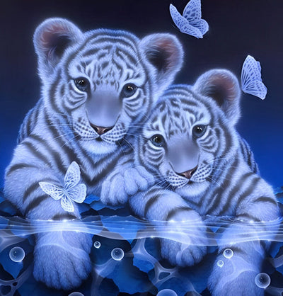 Deux Petits Tigres Blancs Broderie Diamant