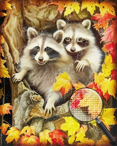 Deux Ratons Laveurs Broderie Diamant