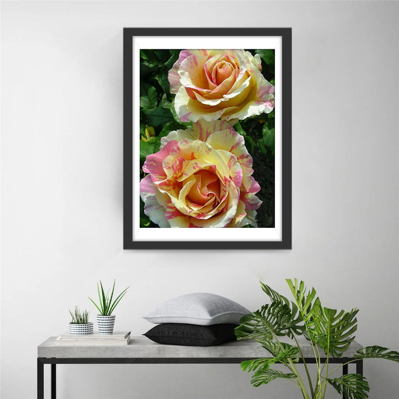 Deux Roses Multicolores Broderie Diamant