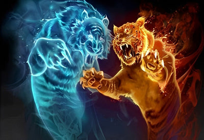 Deux Tigres Se Battant Broderie Diamant
