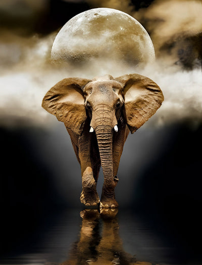 Éléphant Brun et la Lune Broderie Diamant