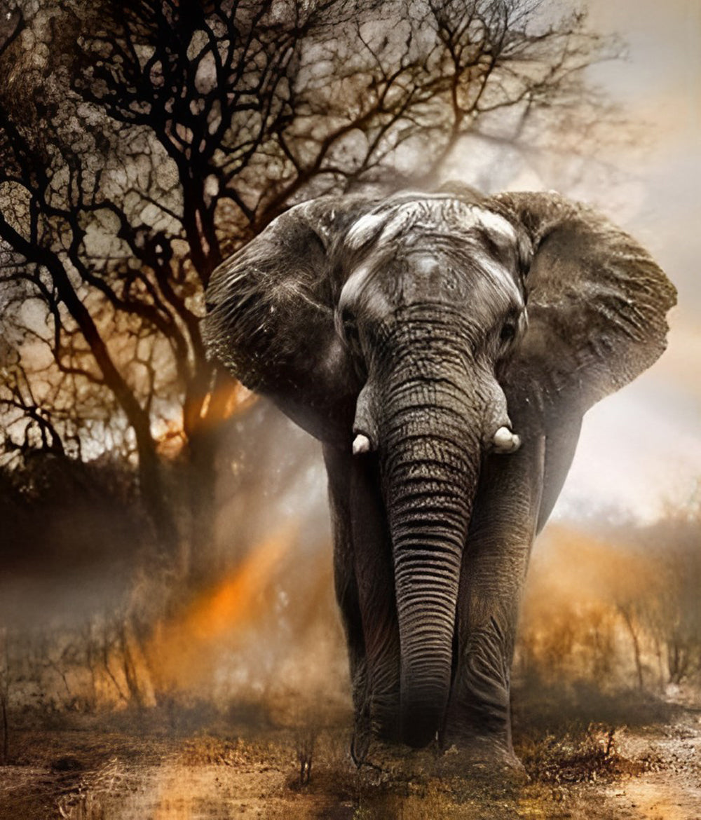 Éléphant dans la Savane Broderie Diamant