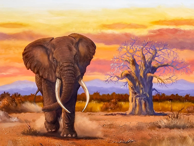 Éléphant et Baobabs Broderie Diamant