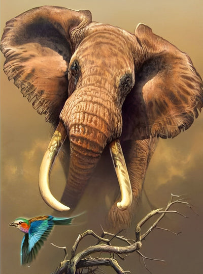 Éléphant et Perroquet Broderie Diamant