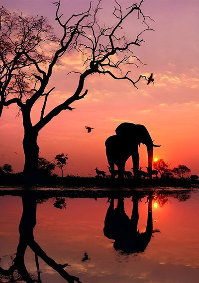 Éléphant et Sa Propre Image dans l'Eau Broderie Diamant