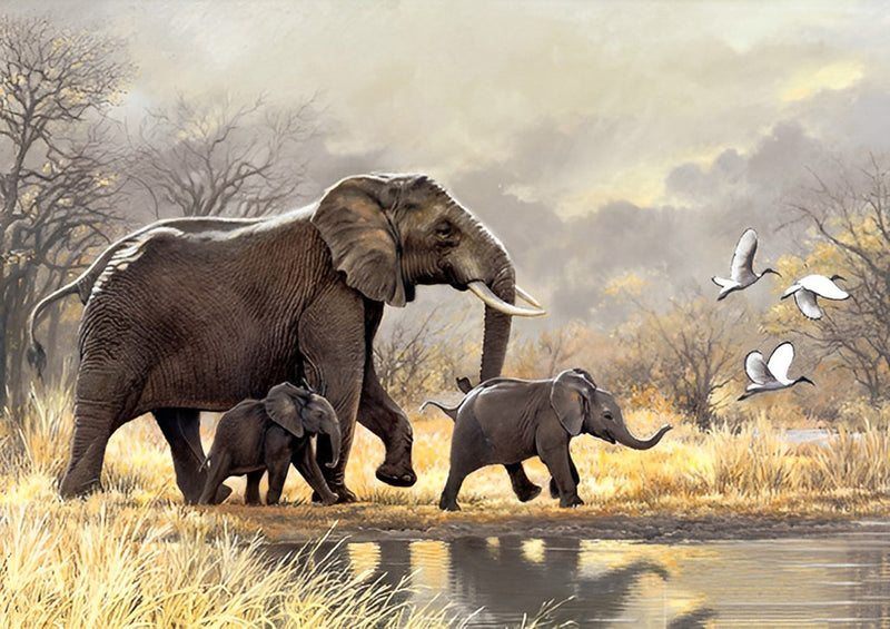 Éléphant et Ses Deux Bébés Broderie Diamant