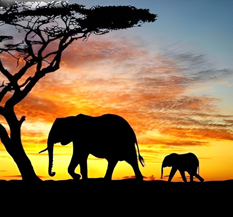 Éléphant et Son Bébé avec des Nuage Rouge Broderie Diamant