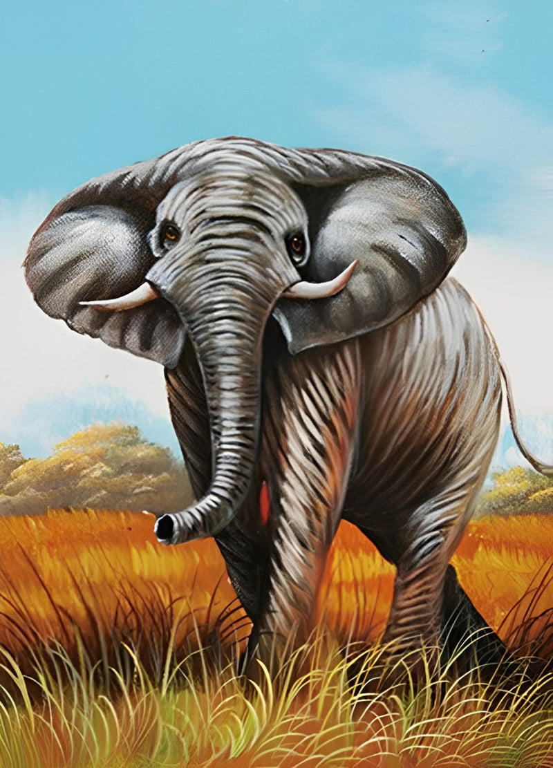Éléphant sous la Pelouse Rousse Broderie Diamant