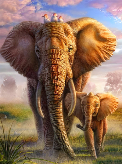 Éléphants et les Oiseaux Animal Broderie Diamant