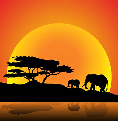 Éléphants et Soleil Couchant Broderie Diamant