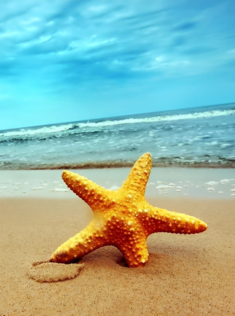 Étoile De Mer Orange sur la Plage Broderie Diamant