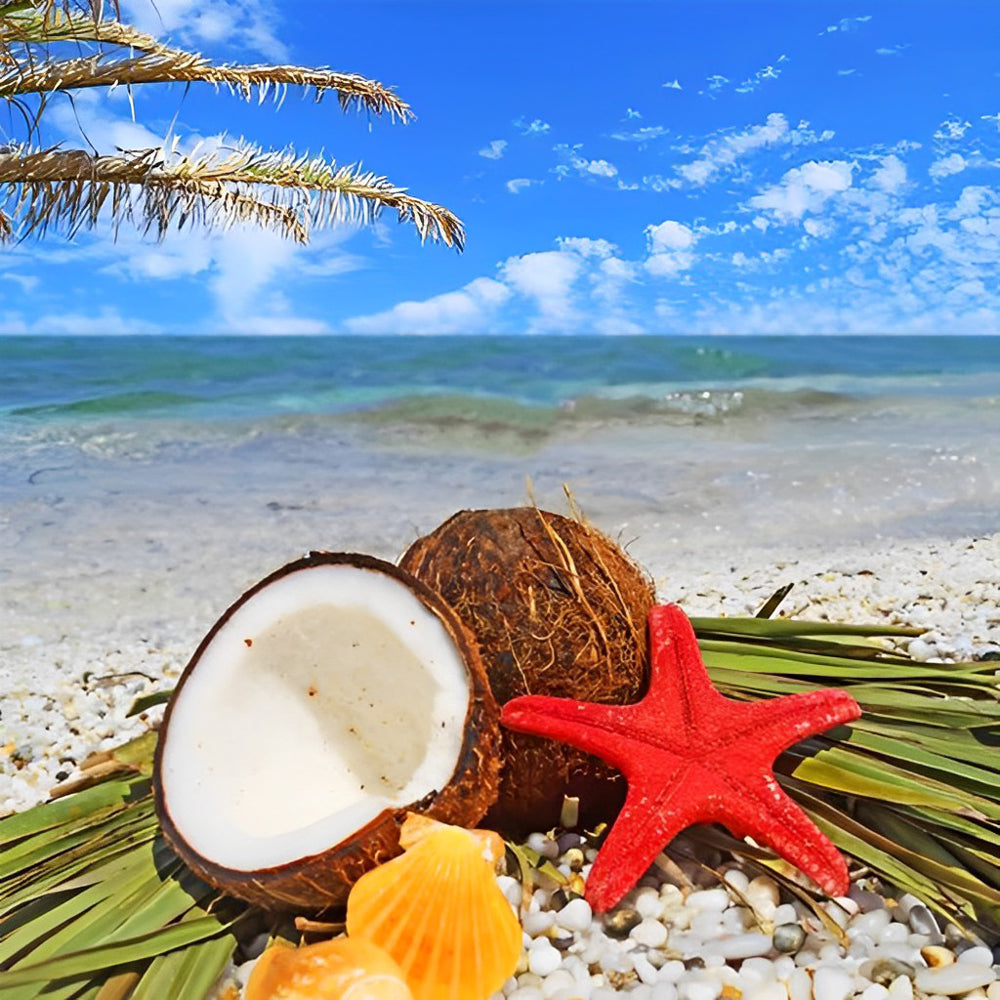 Étoile De Mer Rouge et Coco Broderie Diamant